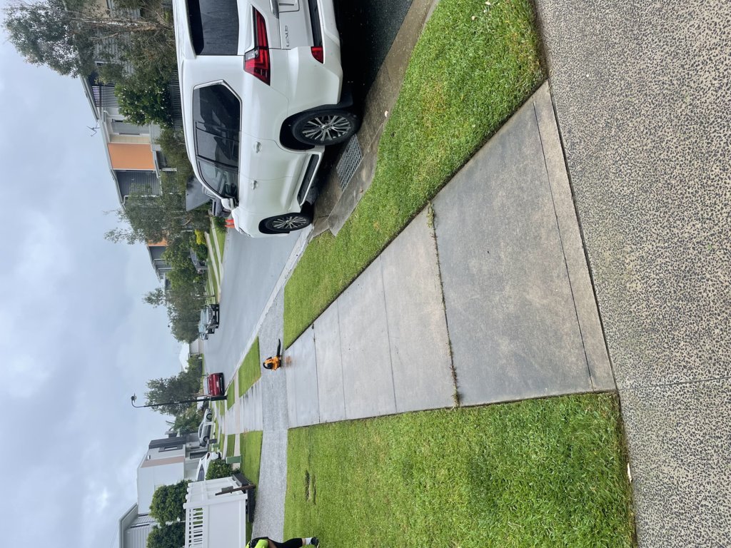 Before nature strip and driveway edges with weeds