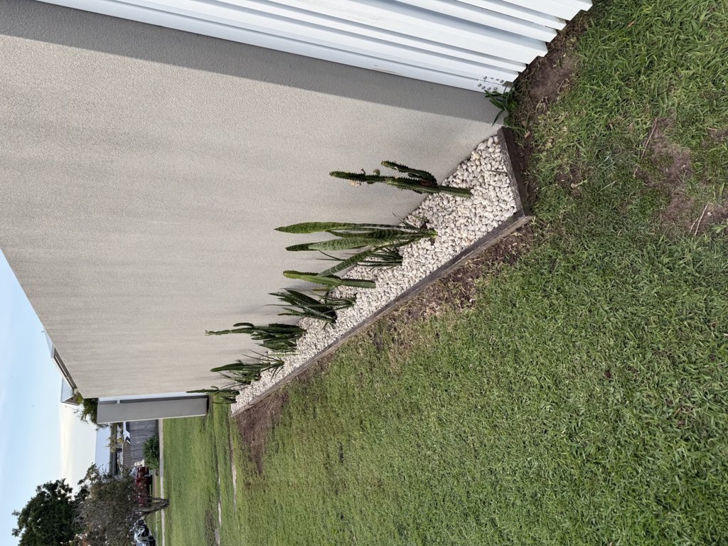 Before side garden strip with minimal planting